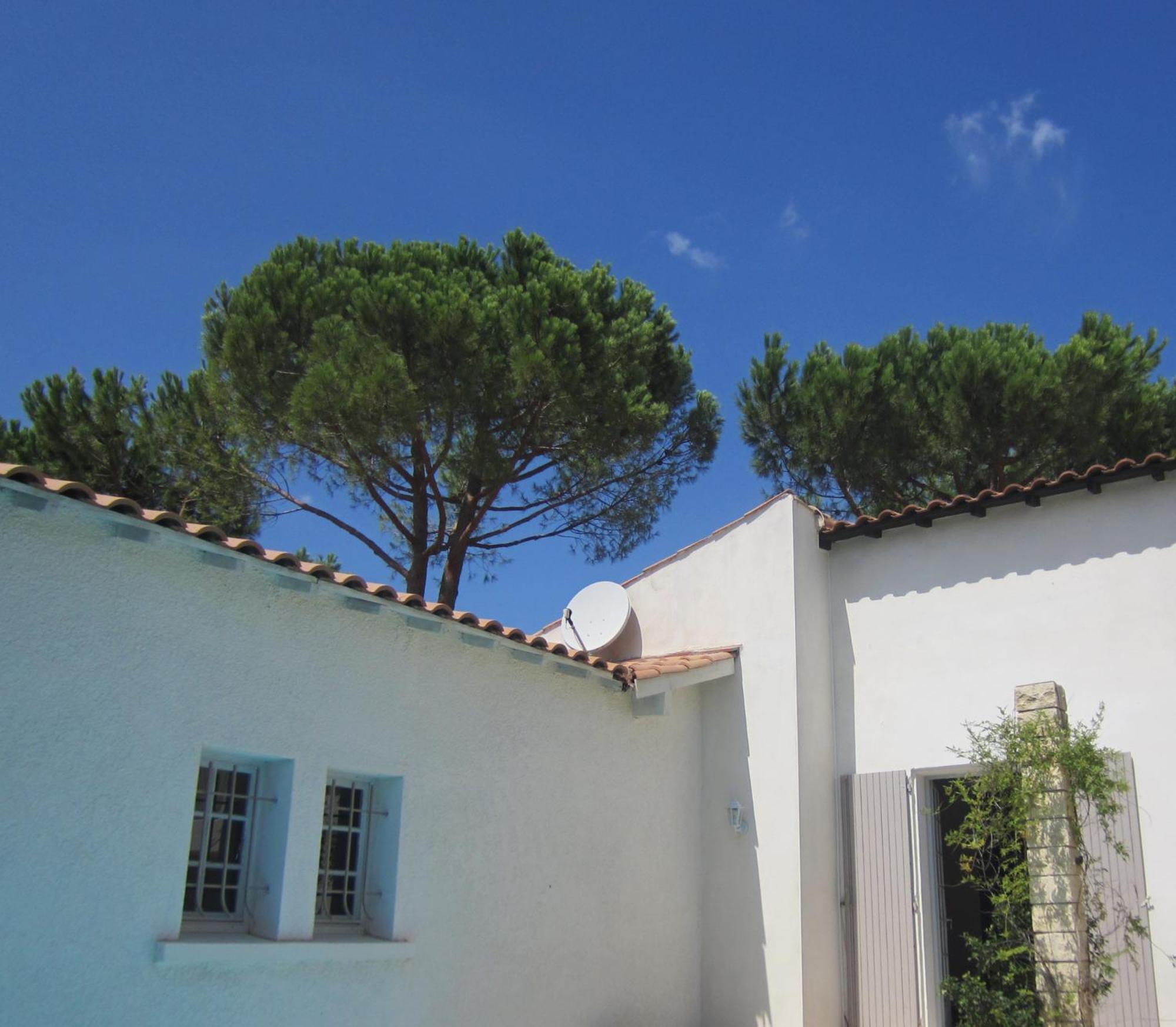 Bed and Breakfast La Fille Du Berger Puissalicon Esterno foto